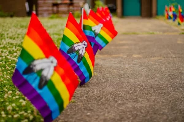 A row of Two-Spirit flags