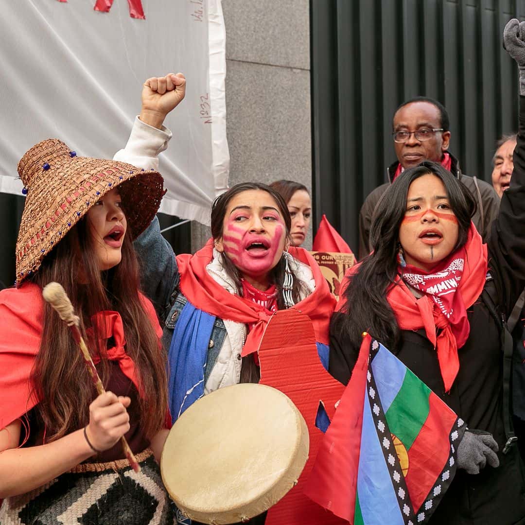 49198768923_602f895a96_o