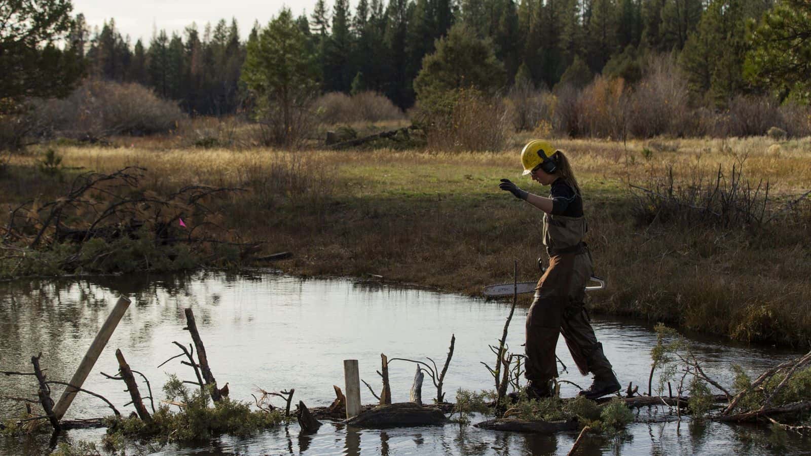 Anabranch Solutions crew lead Samantha Bango walks across a partially built beaver dam analog to continue work on a restoration project along the North Fork Sprague River on Harmony Preserve on Nov. 12, 2021. The project is part of the U.S. Fish and Wildlife Service’s Partners for Fish and Wildlife Program.
Herald and News