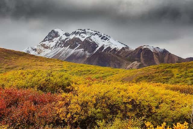 Alaskan wilderness (stock photo)