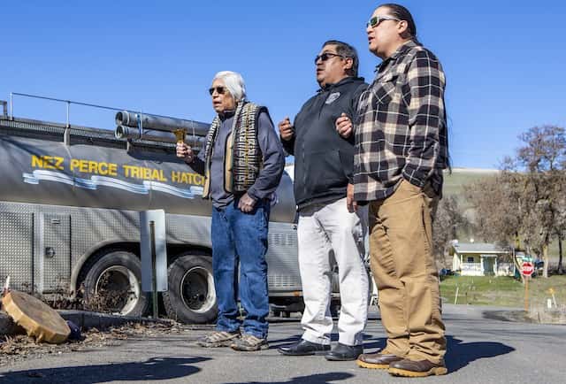 Nez Perce tribal elder Charles Axtell (left), NPTEC Vice-Chairman Shannon Wheeler and NPTEC Treasurer Casey Mitchell sing ceremonially on Wednesday before releasing thousands of juvenile spring chinook into Sweetwater Creek near Webb.