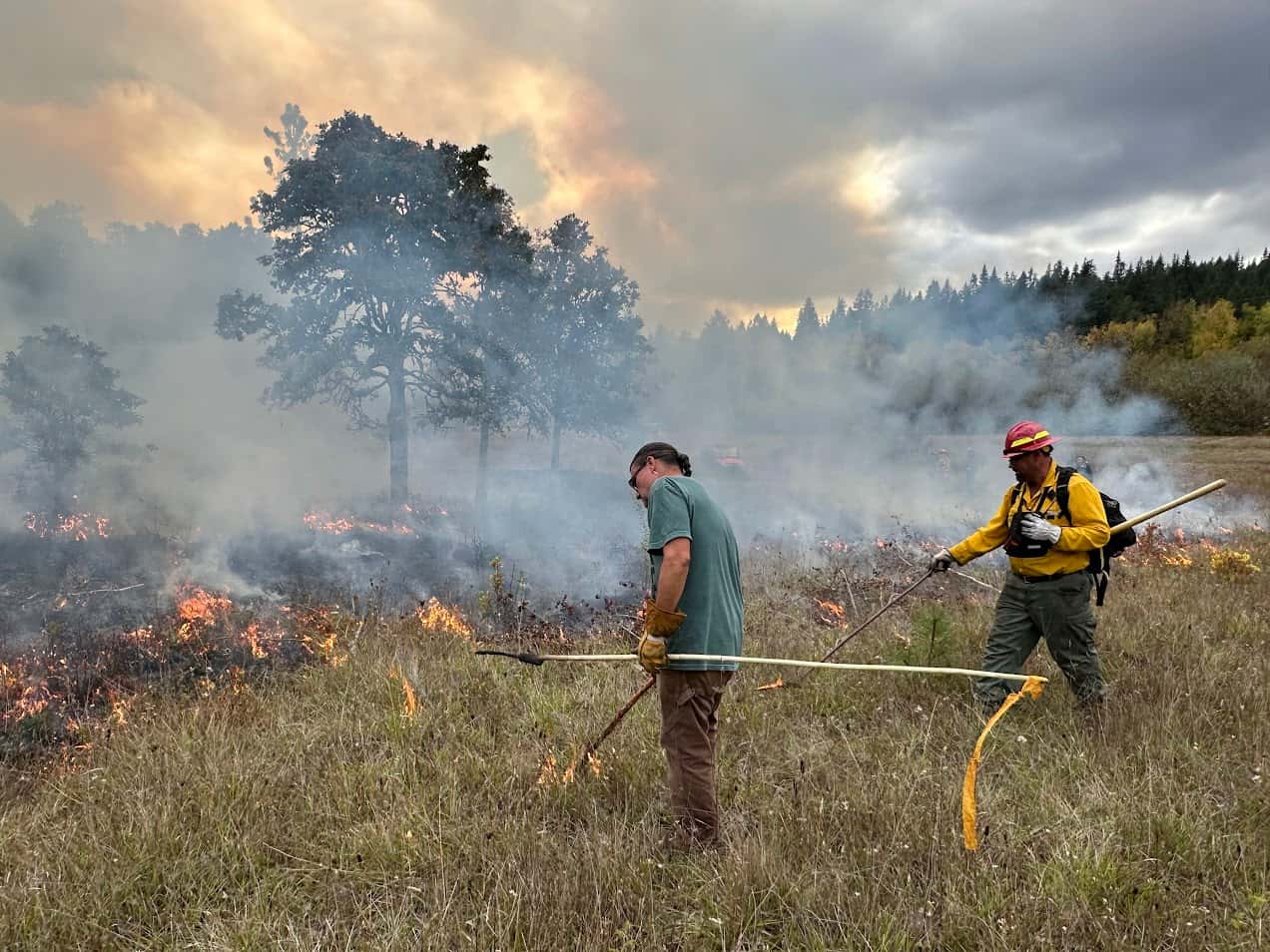 CulturalBurnImage16_BBull