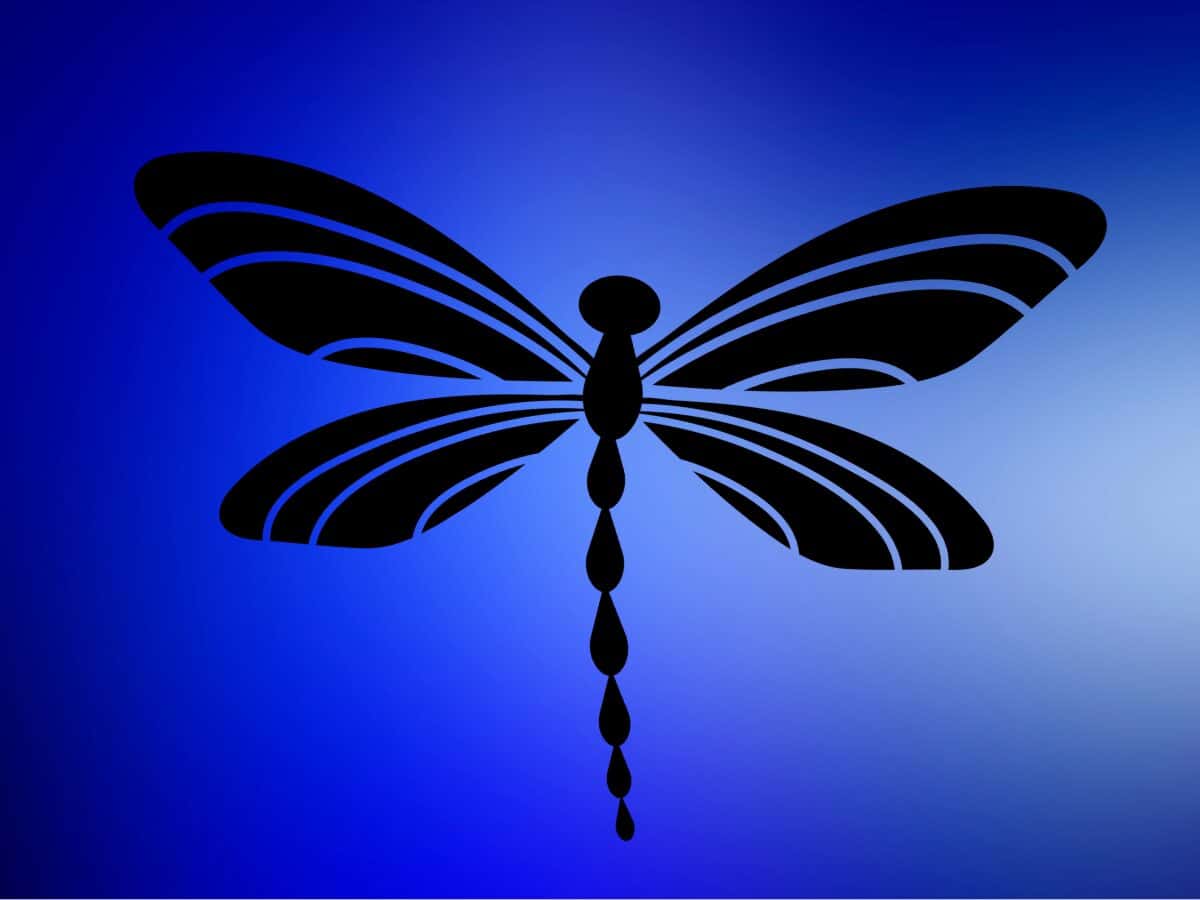 Dragonflies have many meanings to cultures around the world. For Native people in the Great Plains, they can represent water, transformation and even the Thunder Beings. (Photo credit/ Castle Fox, Canva)