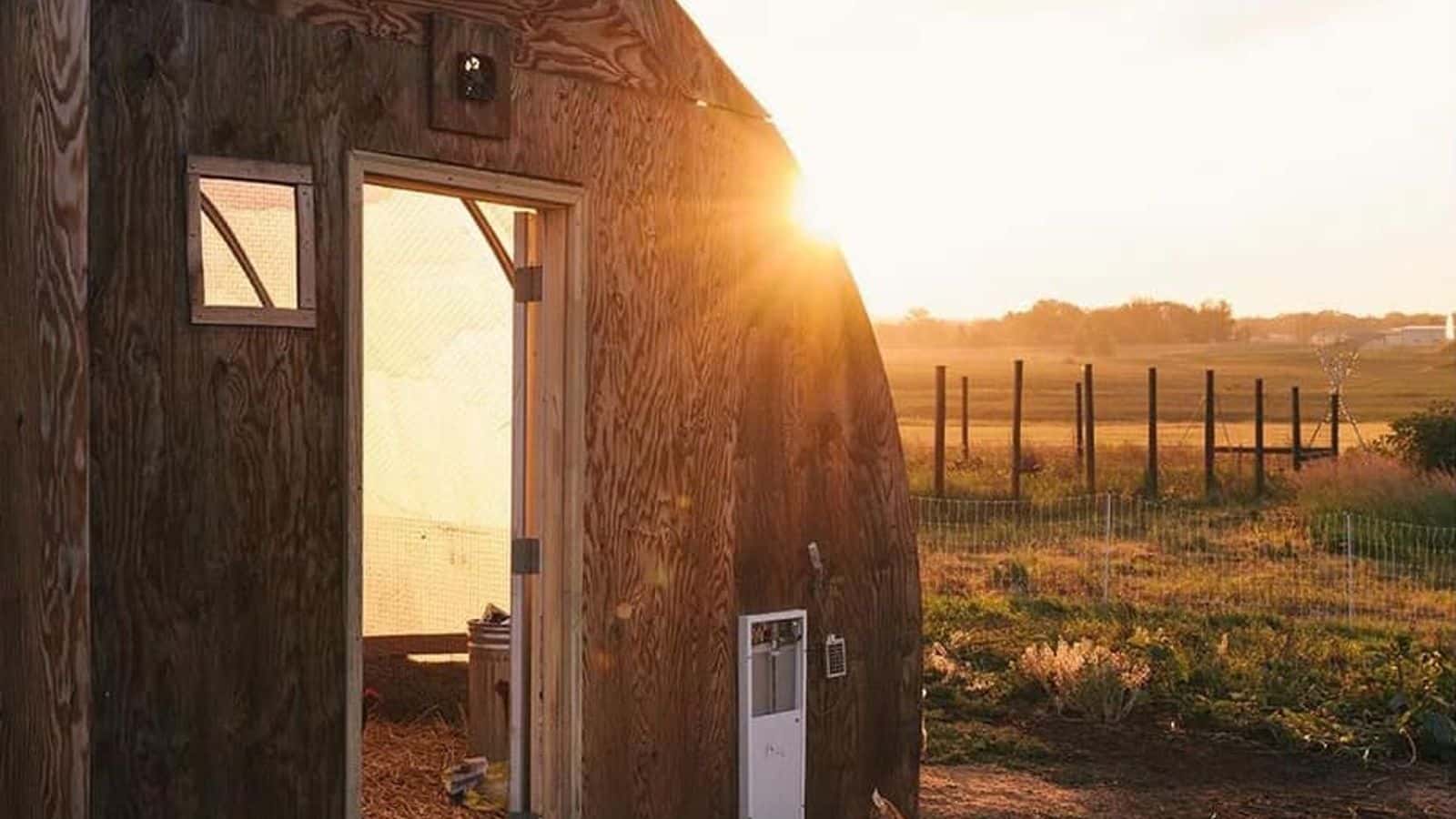 Chickens at Keya Wakpala Gardens (Photo courtesy by Sicangu Co employees).