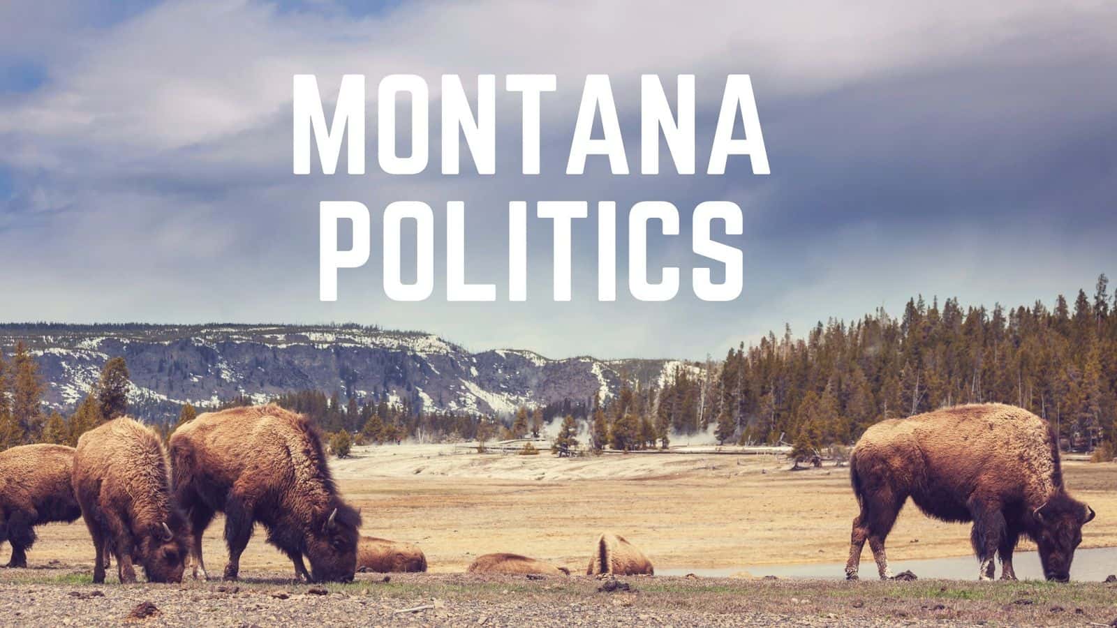 The Montana Democratic Party has become the first state party in the U.S. to establish a formal role for Native Americans, based on their proportion of the population.