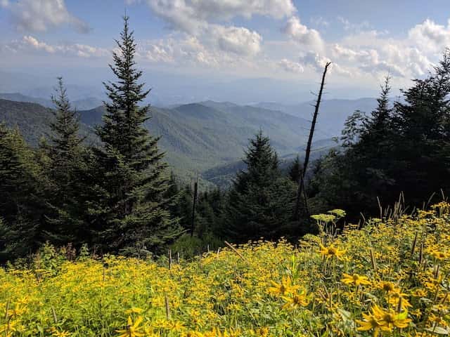 The Great Smoky Mountains National Park can be seen from Clingmans Dome Trail. Support is growing to return the name of the peak to Kuwohi.
Photo by Ricky Young, Chattanooga Times Free Press