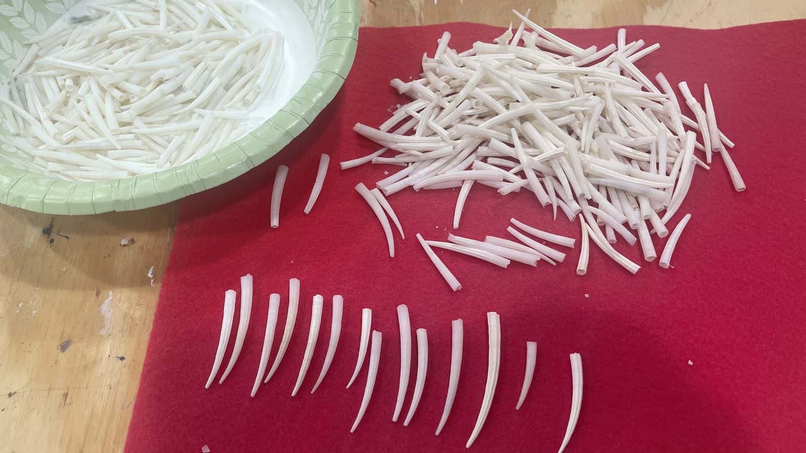 Dentalium shells “represent empowerment and purity,” said workshop leader Shawna Fricke, a citizen of the Paiute and Taos Pueblo. Photo by Adrianna Adame