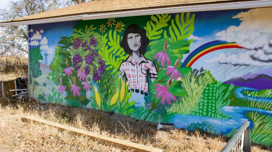 An Eagle Butte portrait of Iyonne Garreau, mother of Cheyenne River Youth Project founder Julie Garreau. Iyonne Garreau created the Winyan Toka Win garden in 1975, which is now part of the youth project. (Photo by Amelia Schafer, ICT/Rapid City Journal)