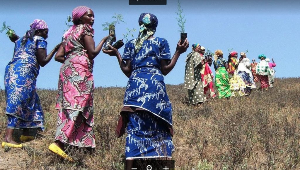 Women's Earth and Climate Action Network Treaty People Gathering