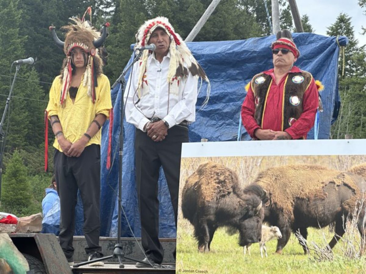  Chief Arvol Looking Horse (center) is the 19th Generation Keeper of the Sacred White Buffalo Calf Pipe and Bundle and presided over the naming ceremony and celebration on June 26, 2024, of a white buffalo born in Yellowstone National Park. (Photo by Blair Miller, Daily Montanan)