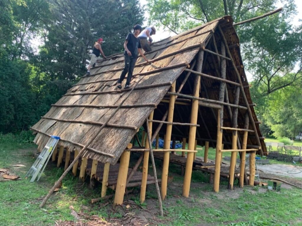 Traditional elm bark lodges return to Minnesota - Buffalos Fire