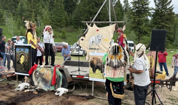 ‘Sacred Return’: Tribal ceremony honors white buffalo calf