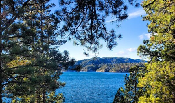 The 800-acre Pactola Reservoir is the largest and deepest in the Black Hills, with 14 miles of shoreline. Besides being a critical source of water for Rapid City and Ellsworth Air Force Base, it is a recreational destination for thousands as well as an important habitat for many species. (Photo credit/ Talli Nauman)